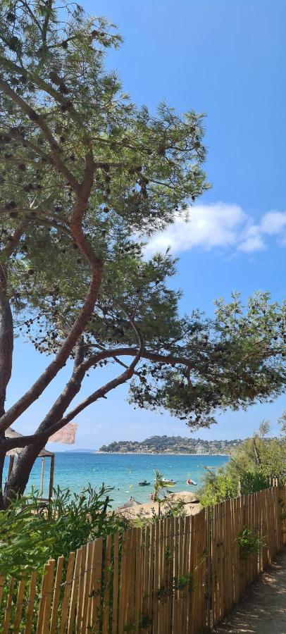 Le Tamaya Plage Charmant T2 En Rez De Jardin A 2 Pas D Une Belle Plage De Toutes Commodites Et Centre Ville Port Cavalaire-sur-Mer Zewnętrze zdjęcie